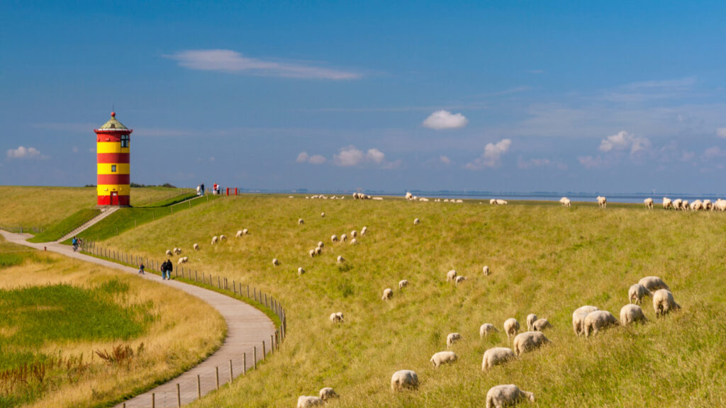 Die Wissenschaft hinter der Deichsicherheit: Technische Meisterleistungen zum Schutz der Küsten