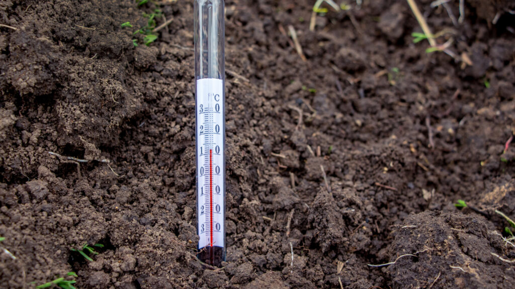 Gartenvorbereitung – So starten Sie erfolgreich ins Gartenjahr