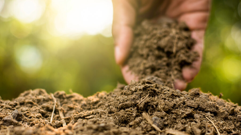 Kompost und Experimente – Kreative Gartenideen umsetzen