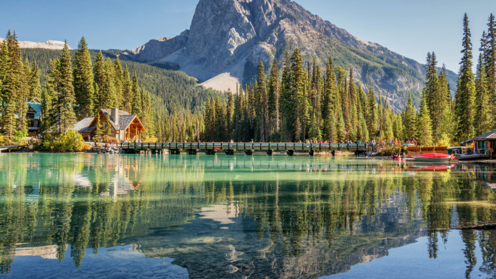 Warum deutsche Nationalparks so einzigartig sind