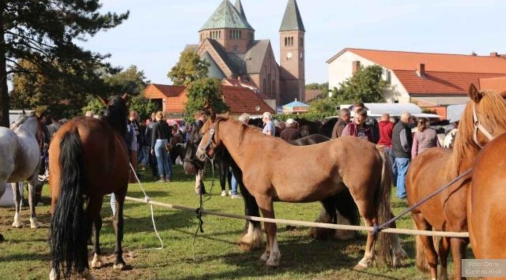 Der Rheder Markt: Ein traditionsreiches Zentrum seit dem 13. Jahrhundert