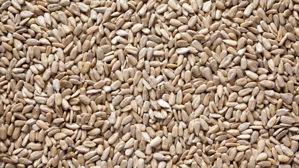 Saatgut und Aussaat: Der perfekte Start in die Gartensaison