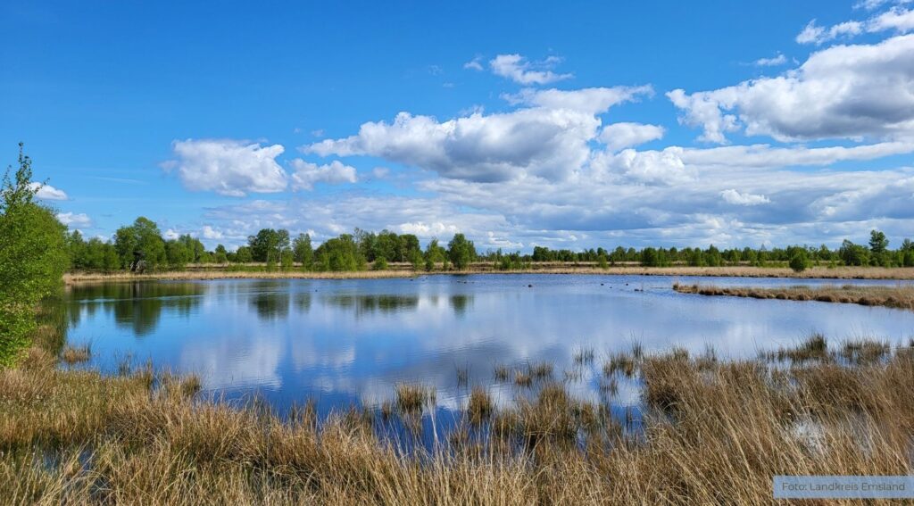 Landkreis Emsland erhält Millionenförderung für Moorschutz