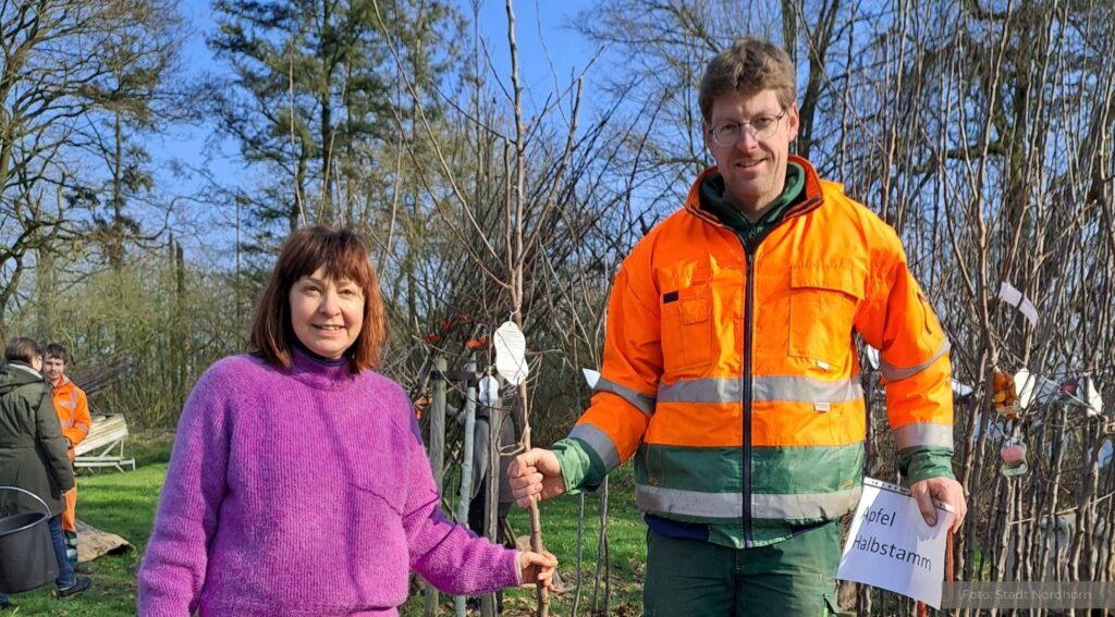 Kostenlose Klima-Bäume für Nordhorn – Jetzt bewerben!