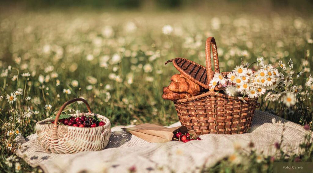 Ein Picknick mit Freunden organisieren