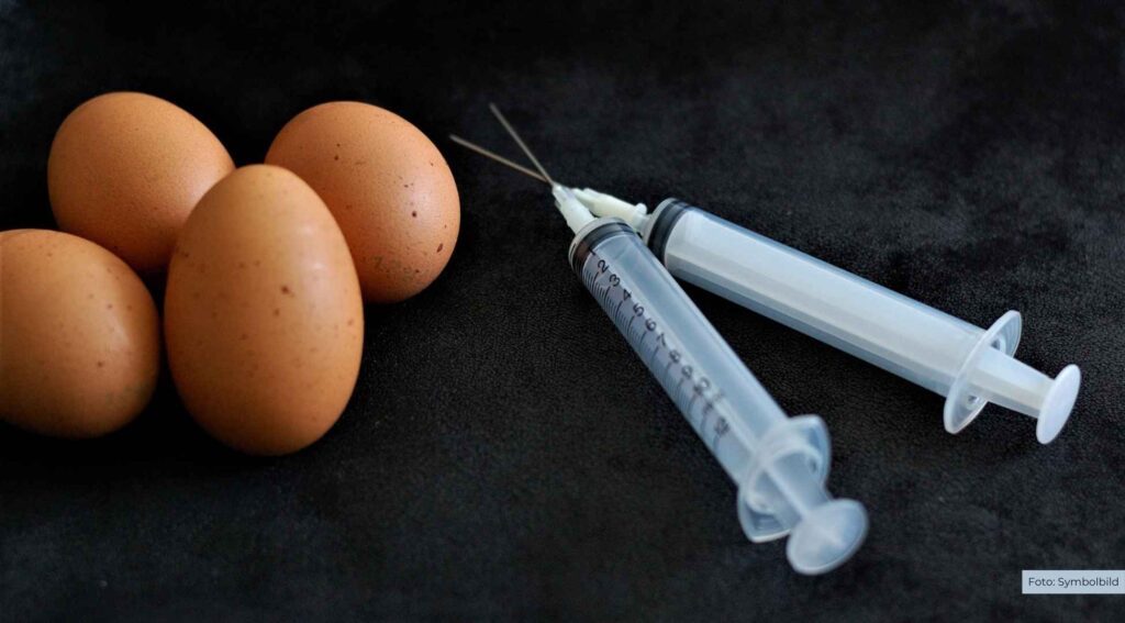 Geflügelpest in Hoogstede erfolgreich eingedämmt – Landkreis hebt Schutzmaßnahmen auf