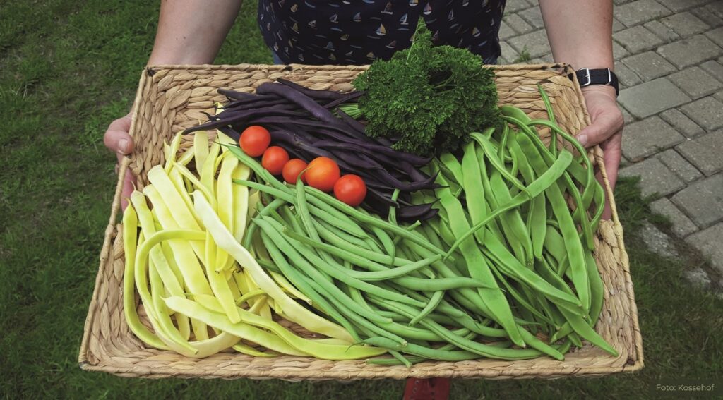 Natur erleben: Bildungsprogramm auf dem Kossehof bringt Kindern Landwirtschaft näher