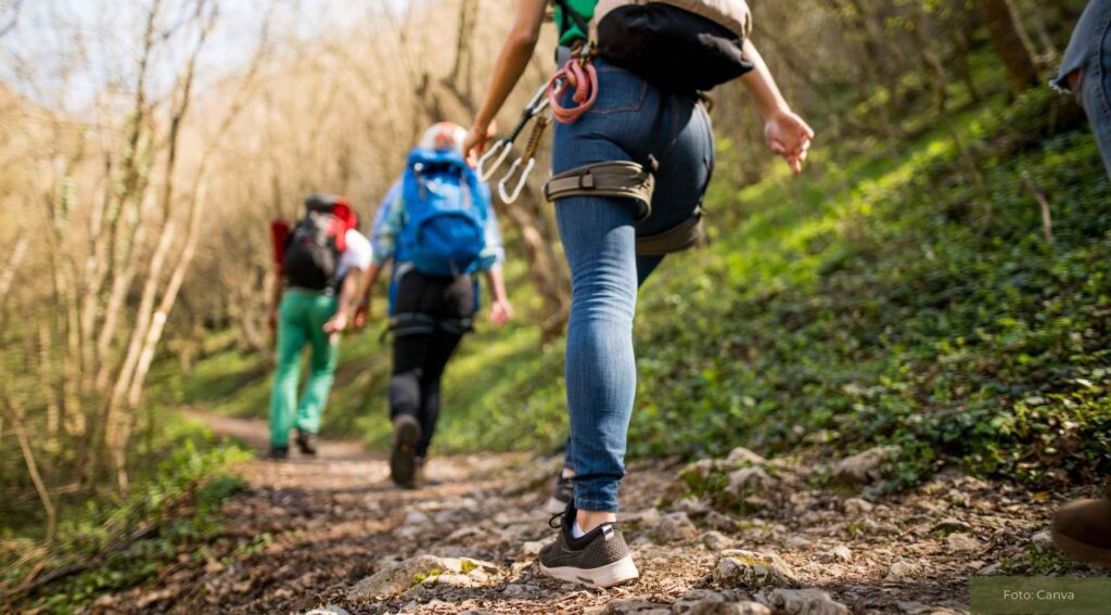 Gesundheitswandern ausprobieren – Bewegung in der Natur mit Mehrwert