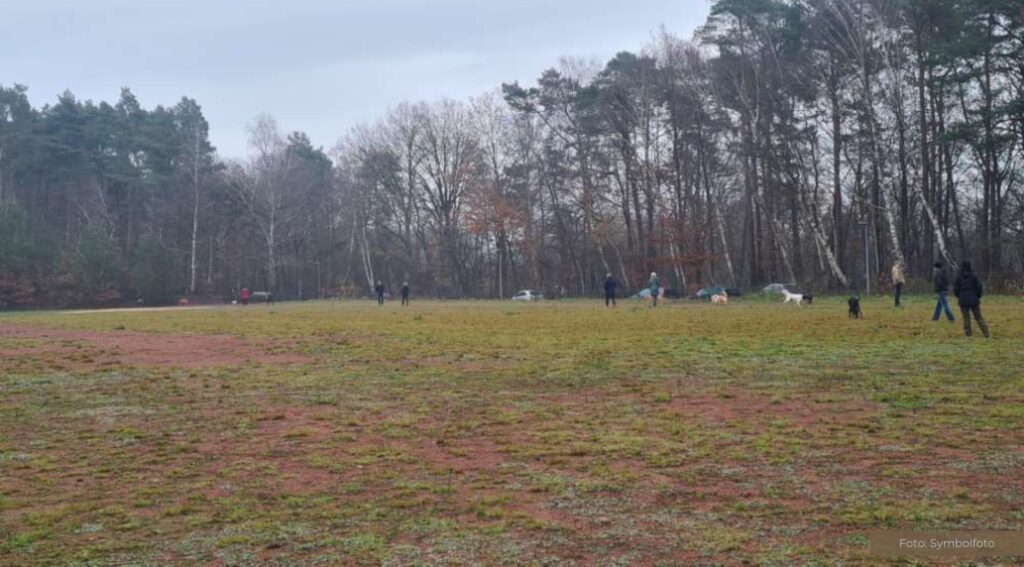 Tierheim Lingen und Hundefreilauffläche: Ein Blick auf aktuelle Entwicklungen