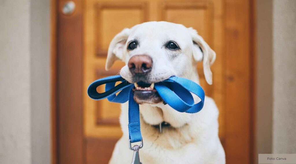 Regelmäßige Bewegung in den Alltag integrieren, z.B. Spaziergänge oder Yoga