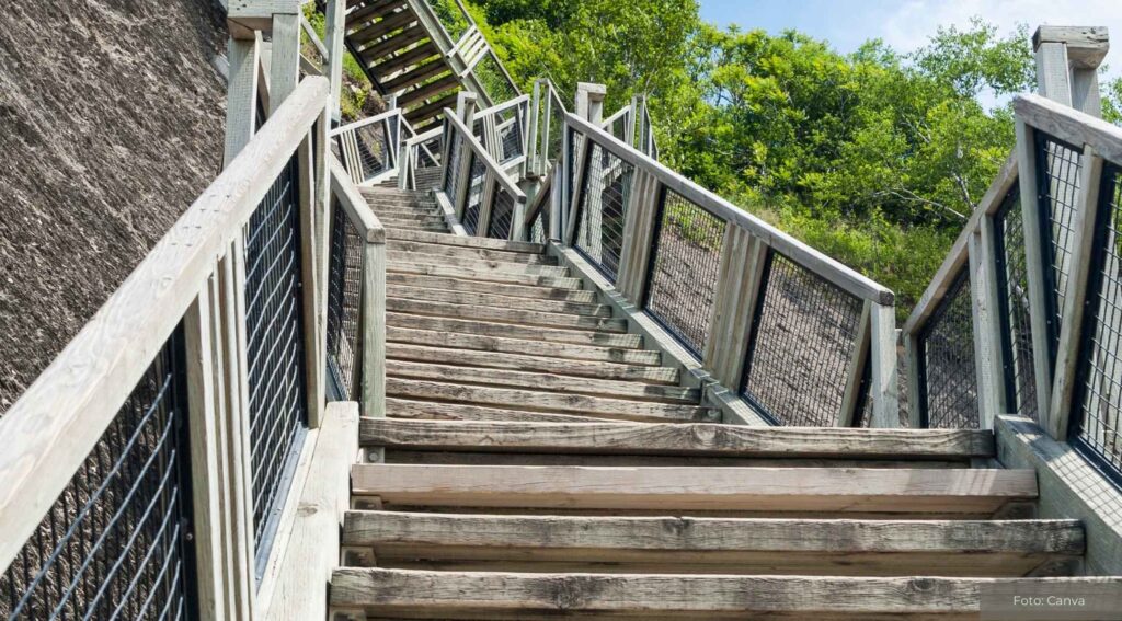 Treppe statt Aufzug nehmen – Kleine Gewohnheit mit großer Wirkung