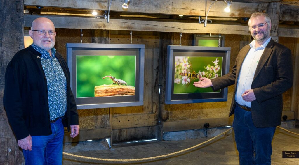 Neue Insekten-Ausstellung im Tierpark Nordhorn begeistert Besucher