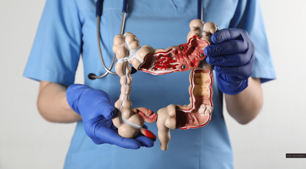 Arzt in blauer Uniform hält Darmmodell für medizinische Schulung und Forschung, betont Gesundheitsaufklärung.