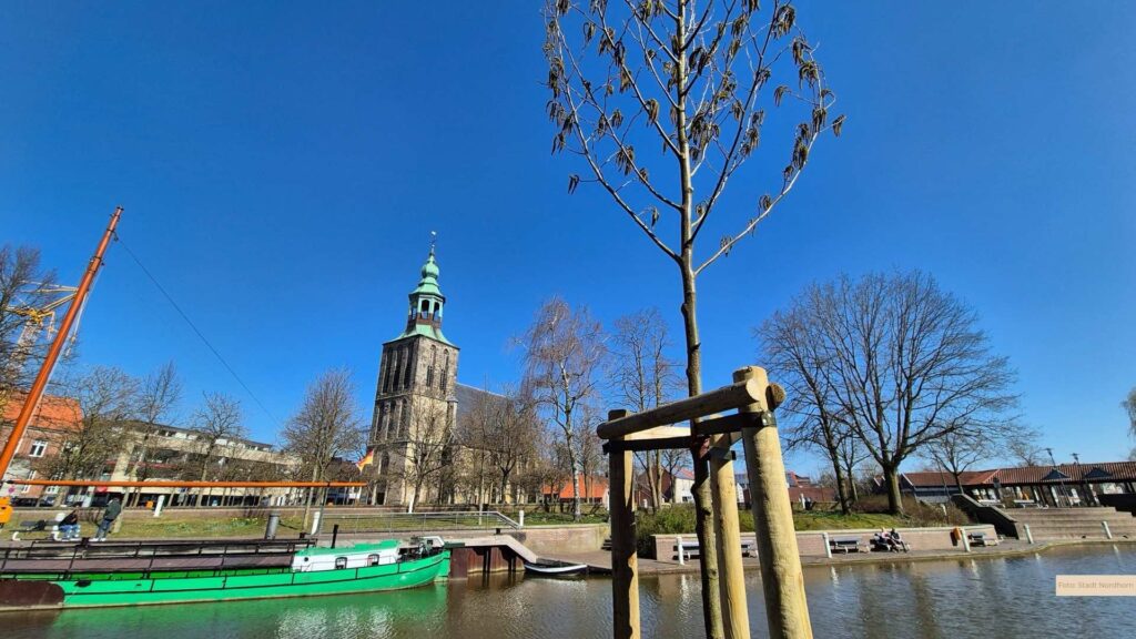 Nachbegrünungsmaßnahmen in der Innenstadt und am Bosinks Kamp