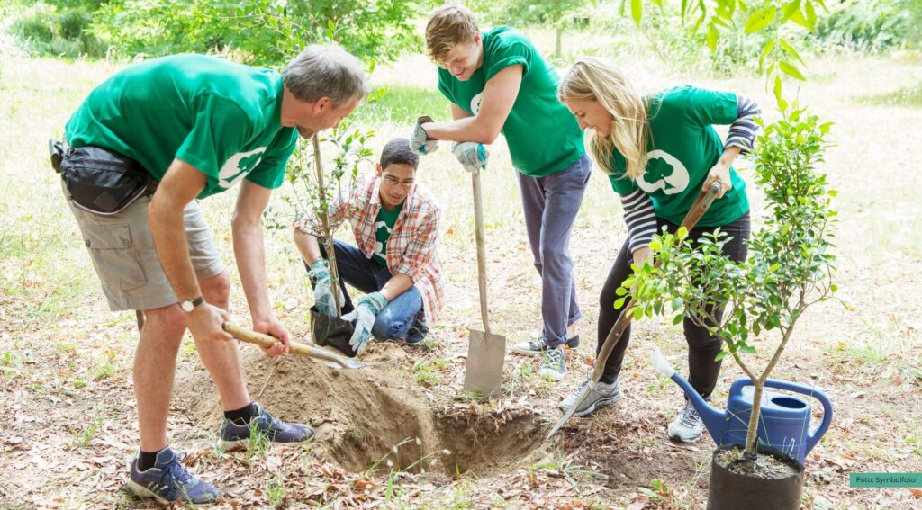 Schüler pflanzen neuen Wald in Surwold