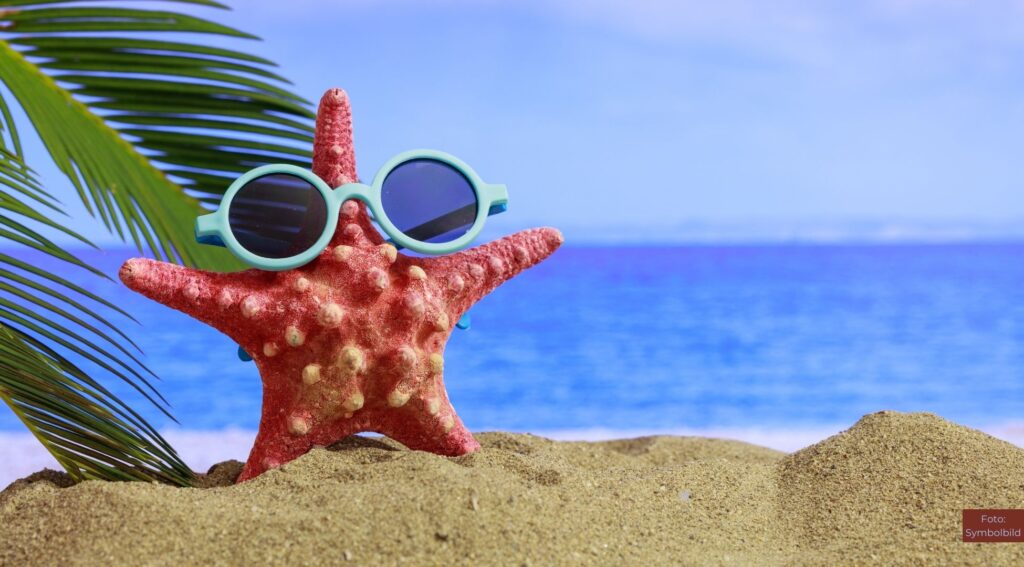 Wohin soll die Reise gehen? Trends und Tipps für den Sommerurlaub 2025