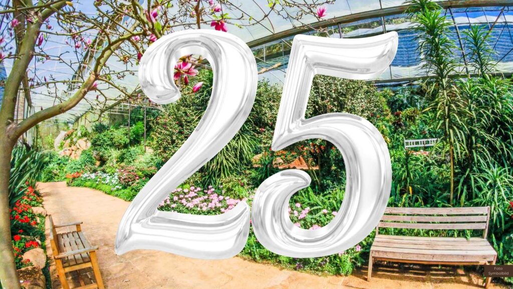 25 Jahre Lansmann Gartenbau und Sandstein Art: Jubiläumsfest mit Programm für die ganze Familie