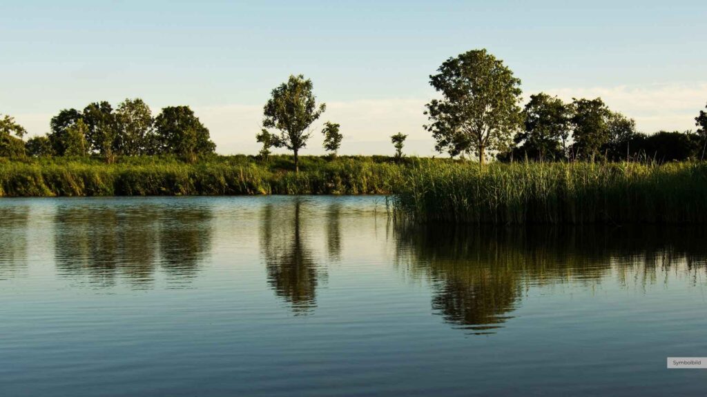 Neue Impulse für den Naturschutz: NLWKN veröffentlicht „Förderratgeber Biotopverbund“