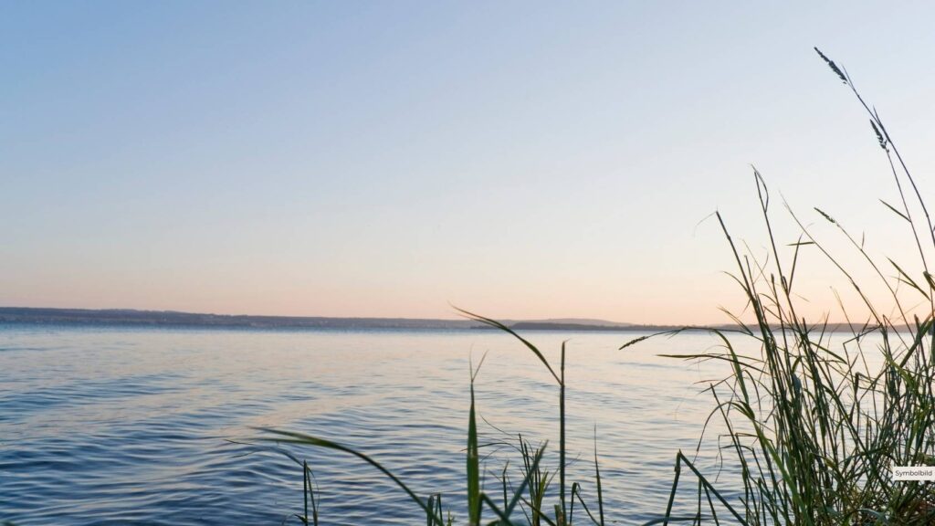 PFAS-Belastung im Bodensee: Umweltchemikalien in Bier, Wasser und Blutproben nachgewiesen