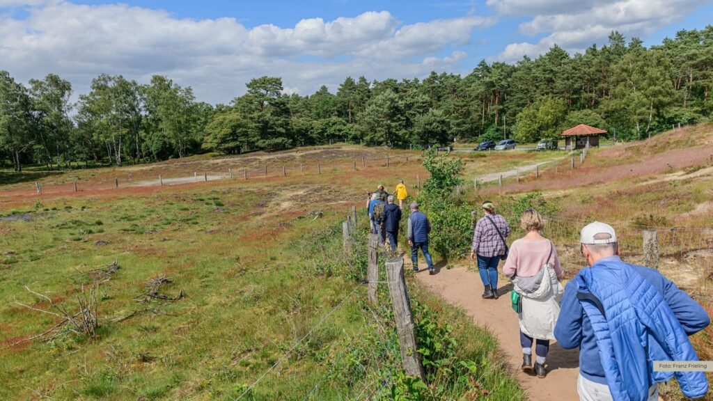 Frühling in der Tillenbergener Heide: Naturführung mit dem Ranger in Nordhorn
