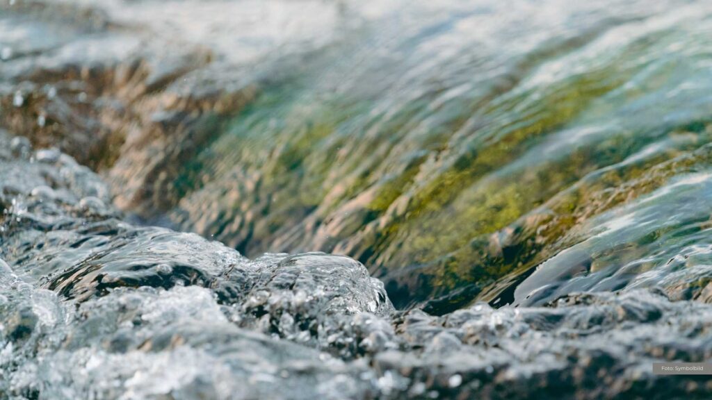Naturnahe Gewässer in Niedersachsen: Ein Schlüssel gegen Hochwasser und Klimawandel