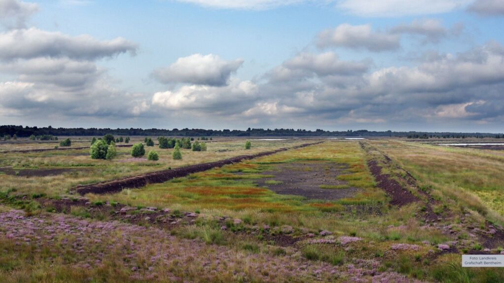 Georgsdorfer Moor wird offiziell Naturschutzgebiet