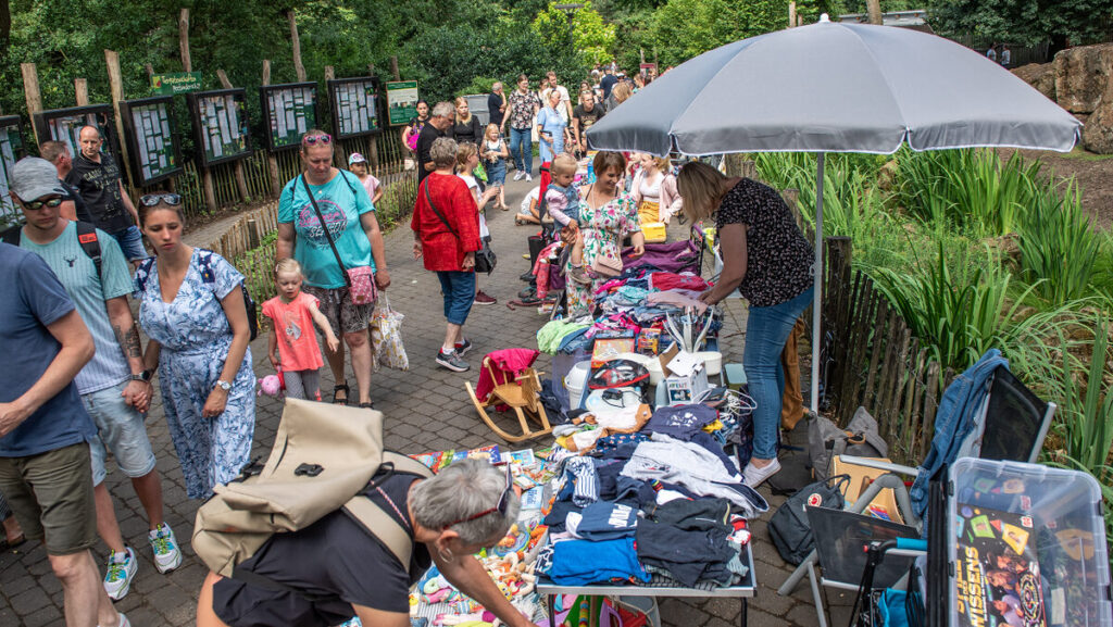 Kinderspaß im Tierpark Nordhorn: Flohmarkt, Stofftierklinik und Imkertag locken am 29. Juni