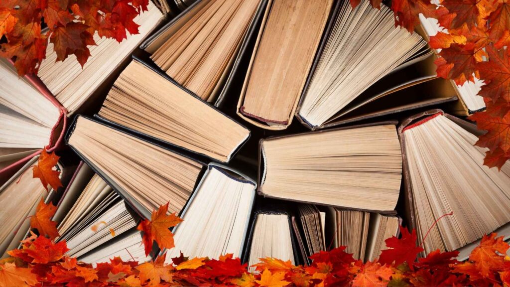 Neue Bücher-Highlights – Juli bis November 2025