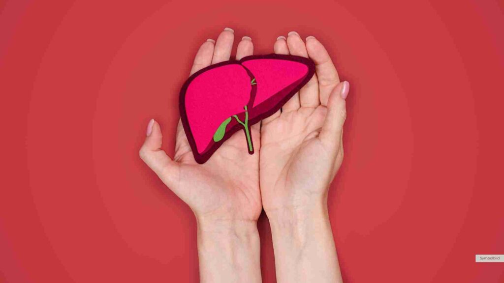 Medizinischer Durchbruch: Erste Schweineleber erfolgreich in hirntoten Menschen transplantiert