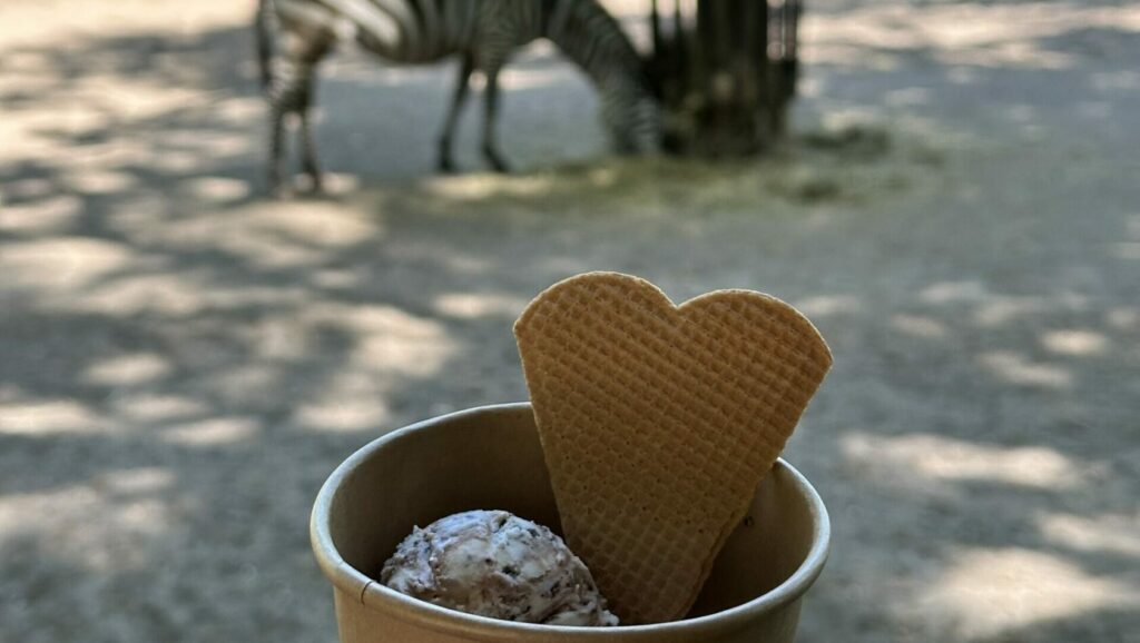 Muttertagsfreude in Nordhorn – Gratis-Eis und Naturerlebnis für die ganze Familie