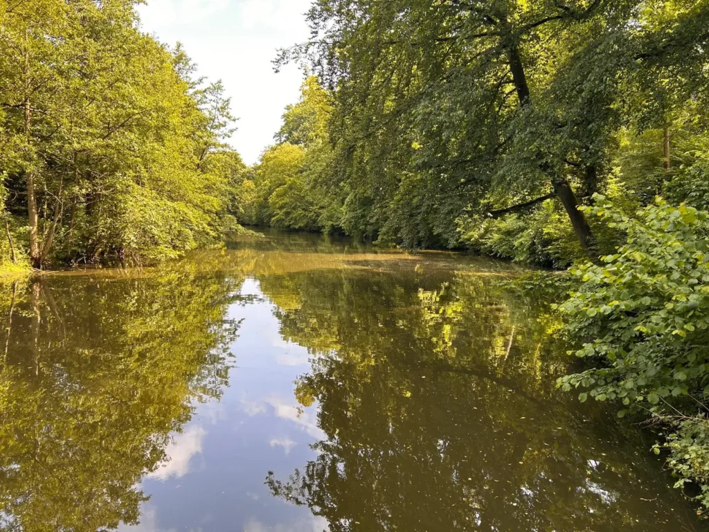 Grünes Refugium mitten in der Stadt – Ein Besuch im Botanischen Garten Münster lohnt sich