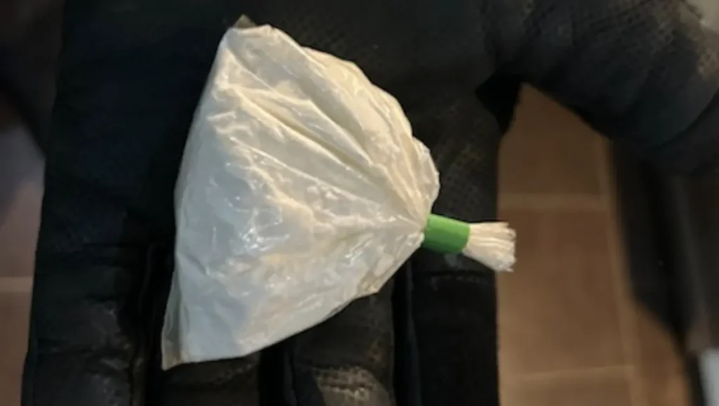 Polizei durchsucht mutmaßliche Drogennetzwerke in Haren und Meppen