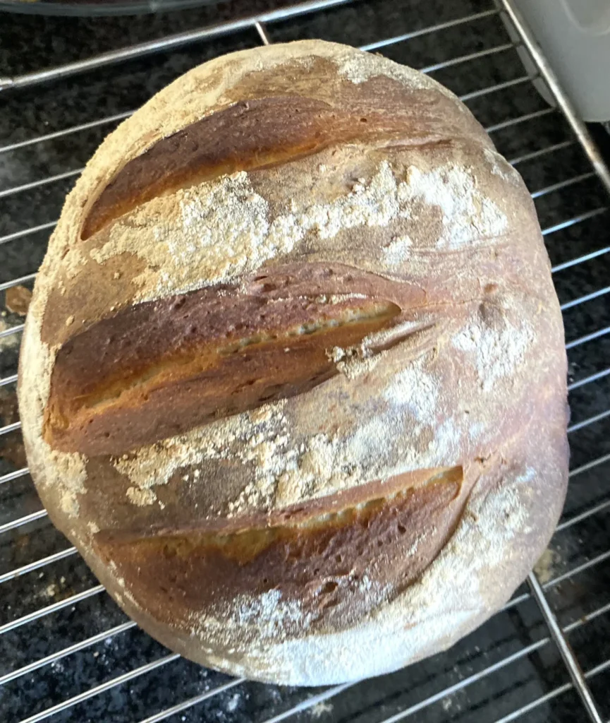 Frisches Brot und Butterkuchen aus dem Backhaus – Heimatverein Salzbergen lädt ein