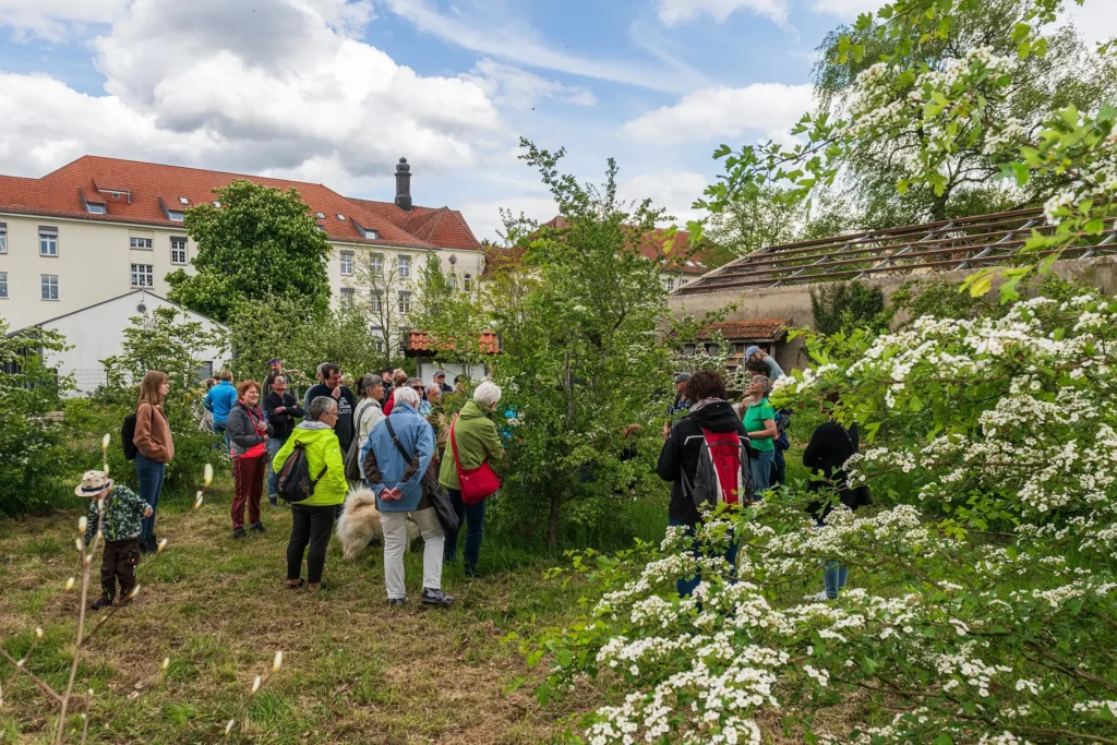 Natur entdecken mit den Grafschafter Rangern: Gratisführung im Wacholderhain Bardel