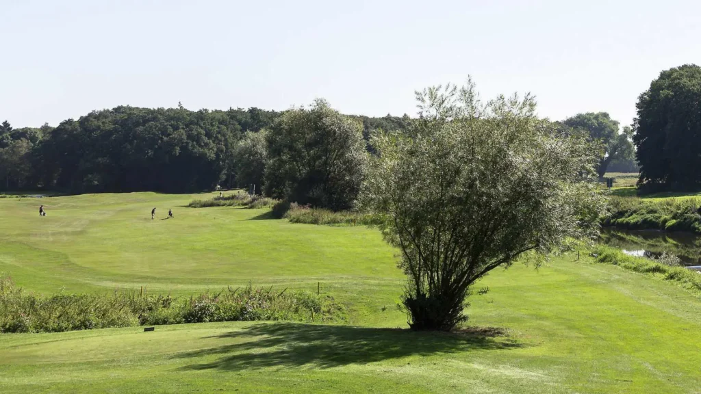 Sommerturniere beim Golfclub Emstal: Spannende Wettkämpfe in Lingen