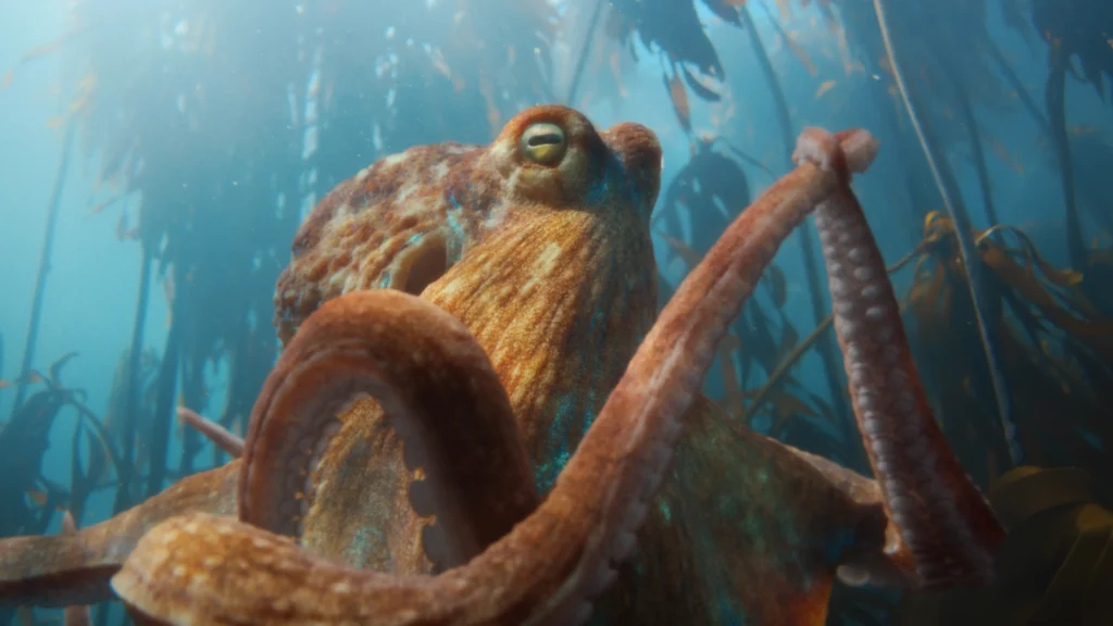 BMW zeigt „Heart of Joy“ – mit einem tanzenden Oktopus