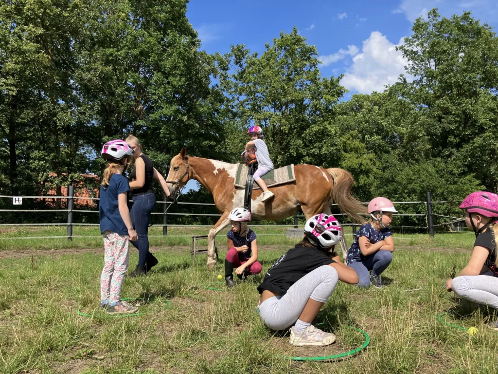Nordhorn startet mit über 250 Angeboten ins Sommerferienprogramm