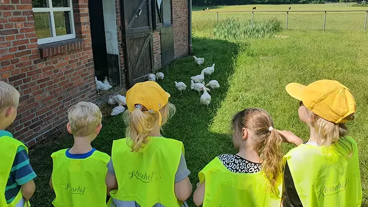 Sommerferien mit Abenteuer und Natur: VHS Meppen bietet spannende Kurse für Kinder und Familien