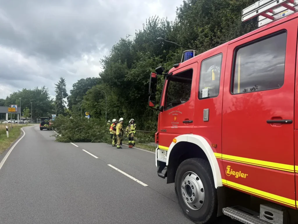 Umgestürzter Baum in Nordhorn – Feuerwehr sorgt für schnelle Räumung
