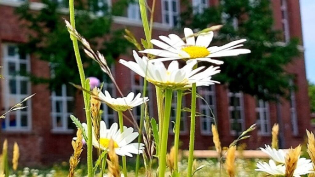 Kreative Auszeit in Nordhorn – VHS-Malkurs ausgebucht