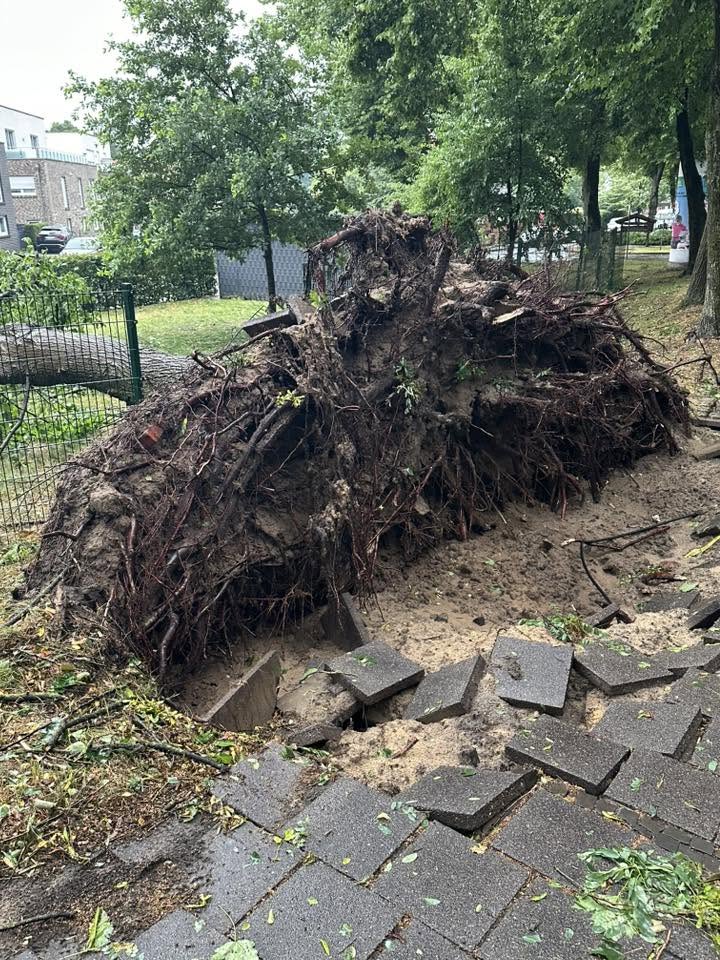 Lingen – Unwetter richtet Schäden an: Über 100 Einsätze im Stadtgebiet, Lage am Morgen entspannt