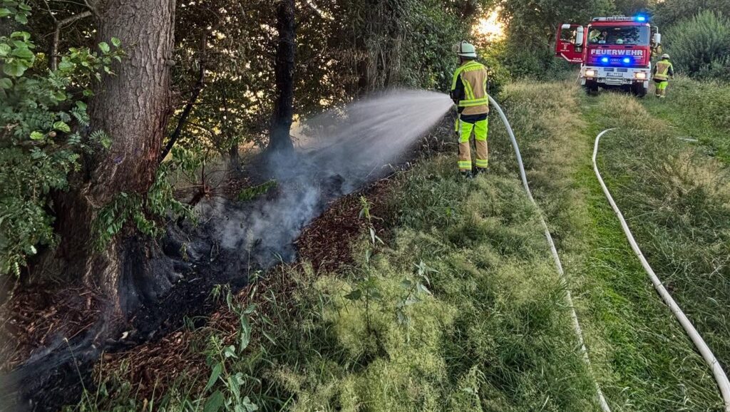 Feuer in Bockholte schnell unter Kontrolle, Feuerwehr verhindert Ausbreitung