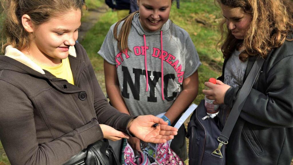 Bad Bentheim: Kostenlose Führung durch den Bentheimer Hute- und Schneitelwald mit Naturschutzrangern