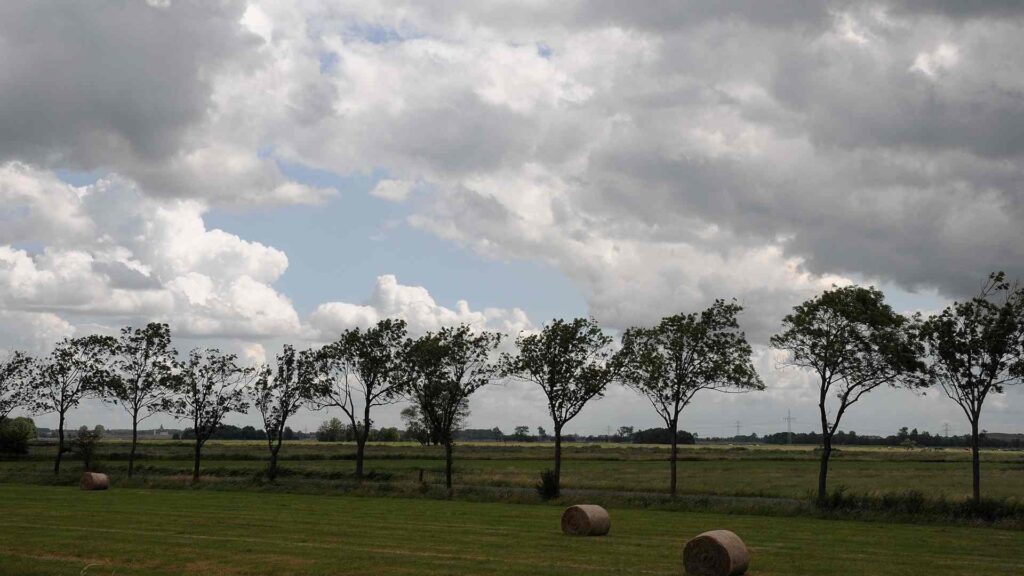 Freren Brandruine Gewerbegebiet