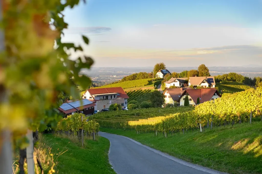 Genuss mit Herz – Weingut Schwarzl lädt zum Entdecken und Verweilen ein