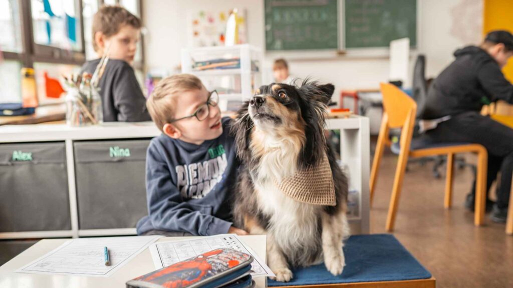 Assistenzhunde geben Halt – Wie eine Stiftung aus Badbergen Menschen aus der Region hilft
