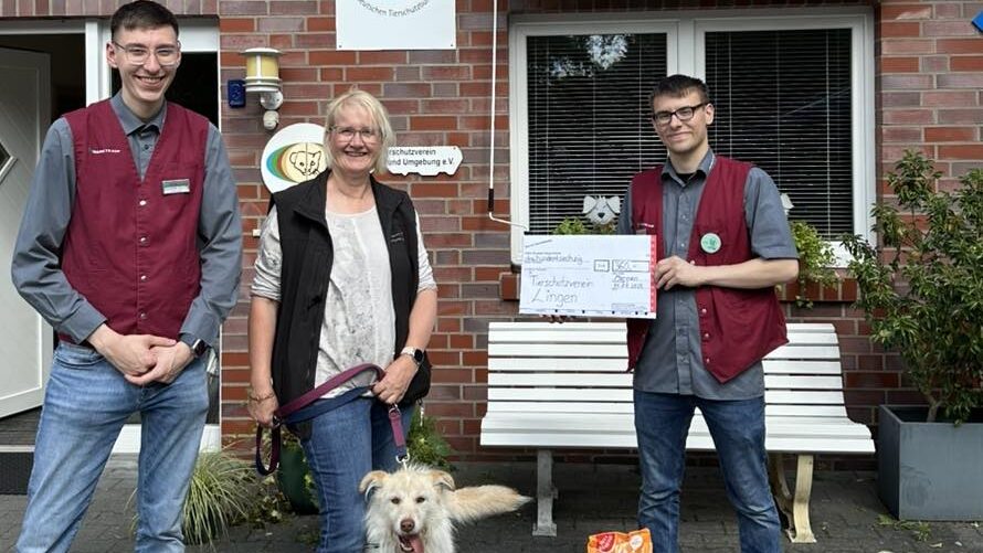 Meppen: Pokémon-Tauschbörse bringt 360 Euro für den Tierschutz