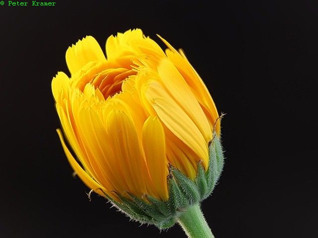 Lichtmomente im Rathaus – Fotoausstellung von Peter Kramer zeigt Emsland durch neue Perspektiven