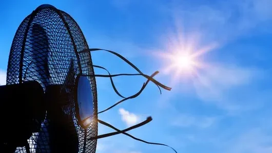 ÖDP kritisiert Bundesregierung für Untätigkeit beim Klimaschutz