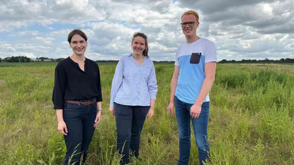 Nordhorn: Schutz bedrohter Wiesenvögel – erste Kiebitzinseln in der Grafschaft Bentheim